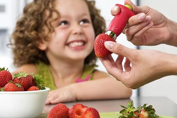 As Seen On Tv Sears Com