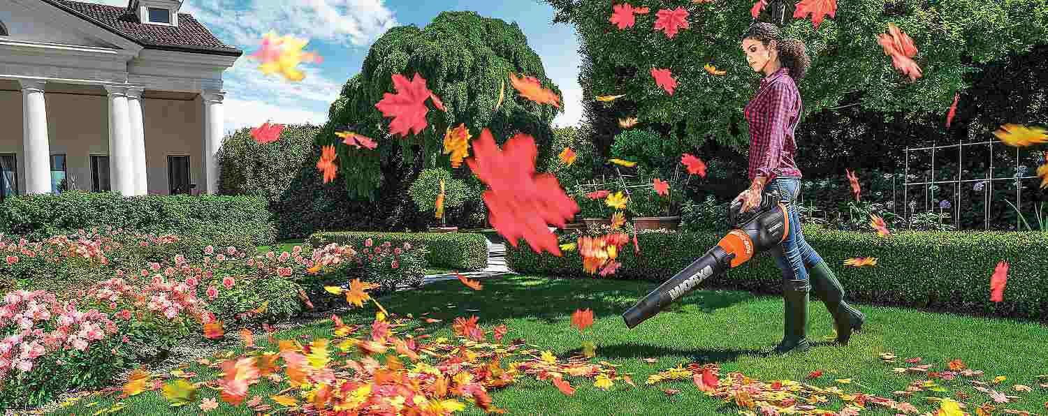 A Beginner's Guide to Buying a Leaf Blower Sears