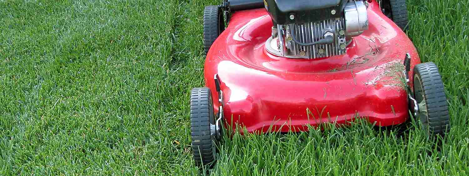 7 Simple Mowing Tips to Remember This Season Sears