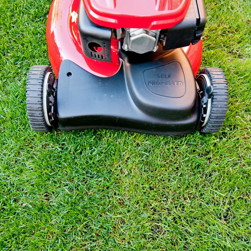 Lawn Mowers Shop for the Perfect Lawn Mower at Sears