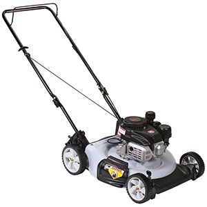 Craftsman 21" 132cc 2-in-1 Push Lawn Mower