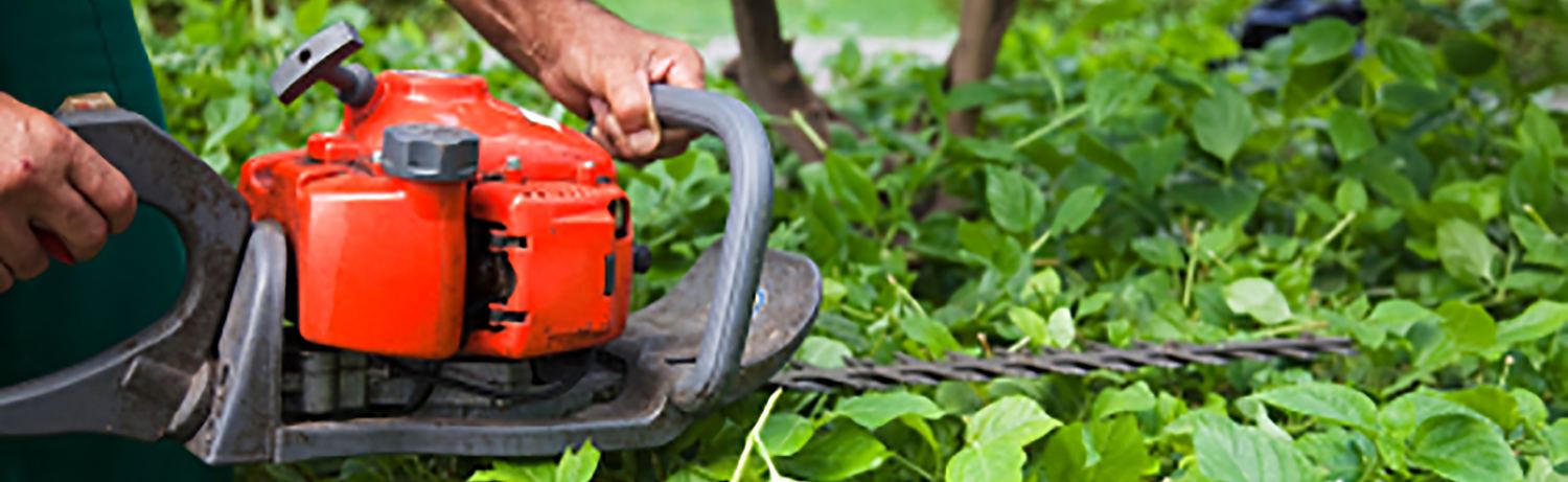 types of hedge trimmers