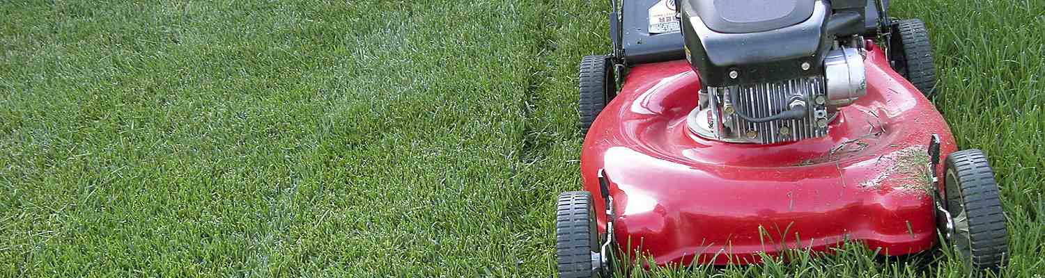 Best Lawn Mower under 200