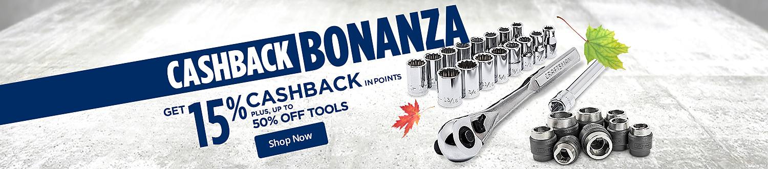 Get 15% CASHBACK in points + Up to 50% Off Tools
